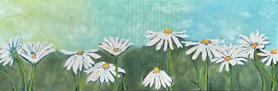 Daisies Found the Light